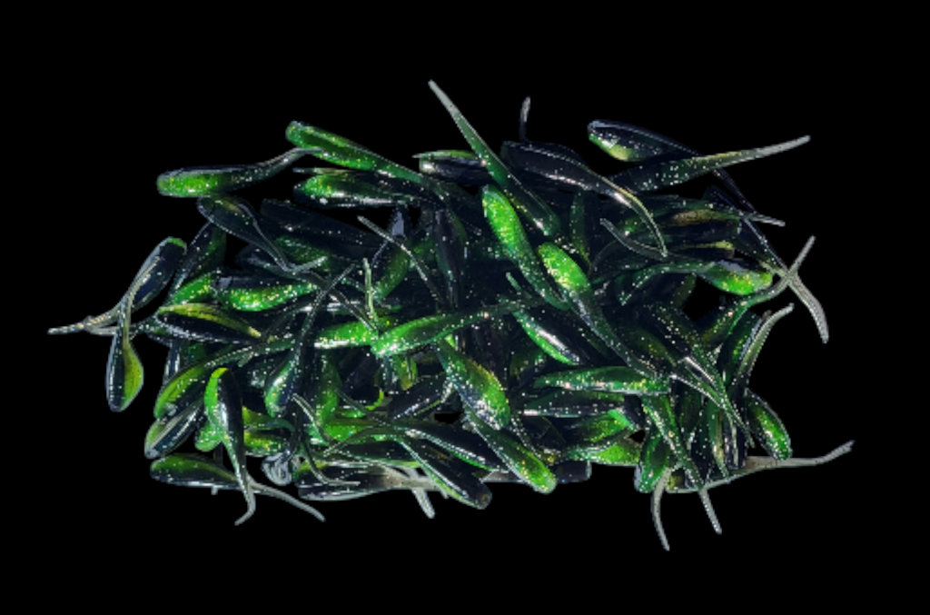 Shad Fry, Minnow Fry 2" length - Green/Midnight Flash (Green/Black w/gold & silver glitter) Crappie, Panfish