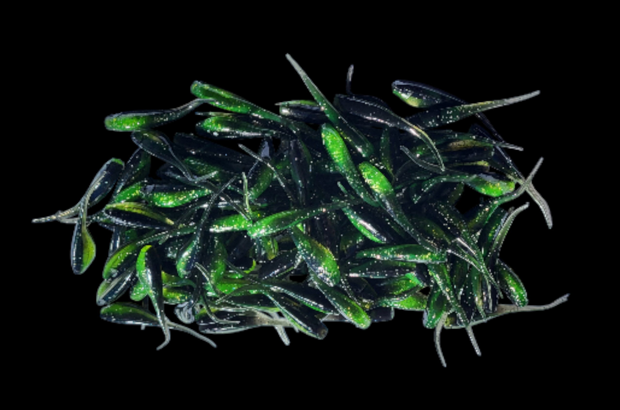 Shad Fry, Minnow Fry 2" length - Green/Midnight Flash (Green/Black w/gold & silver glitter) Crappie, Panfish