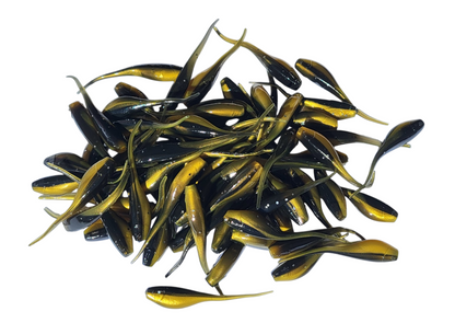 Shad Fry, Minnow Fry 2" length - Golden Shiner Flash (Gold/Black w/ silver glitter) Crappie, Panfish