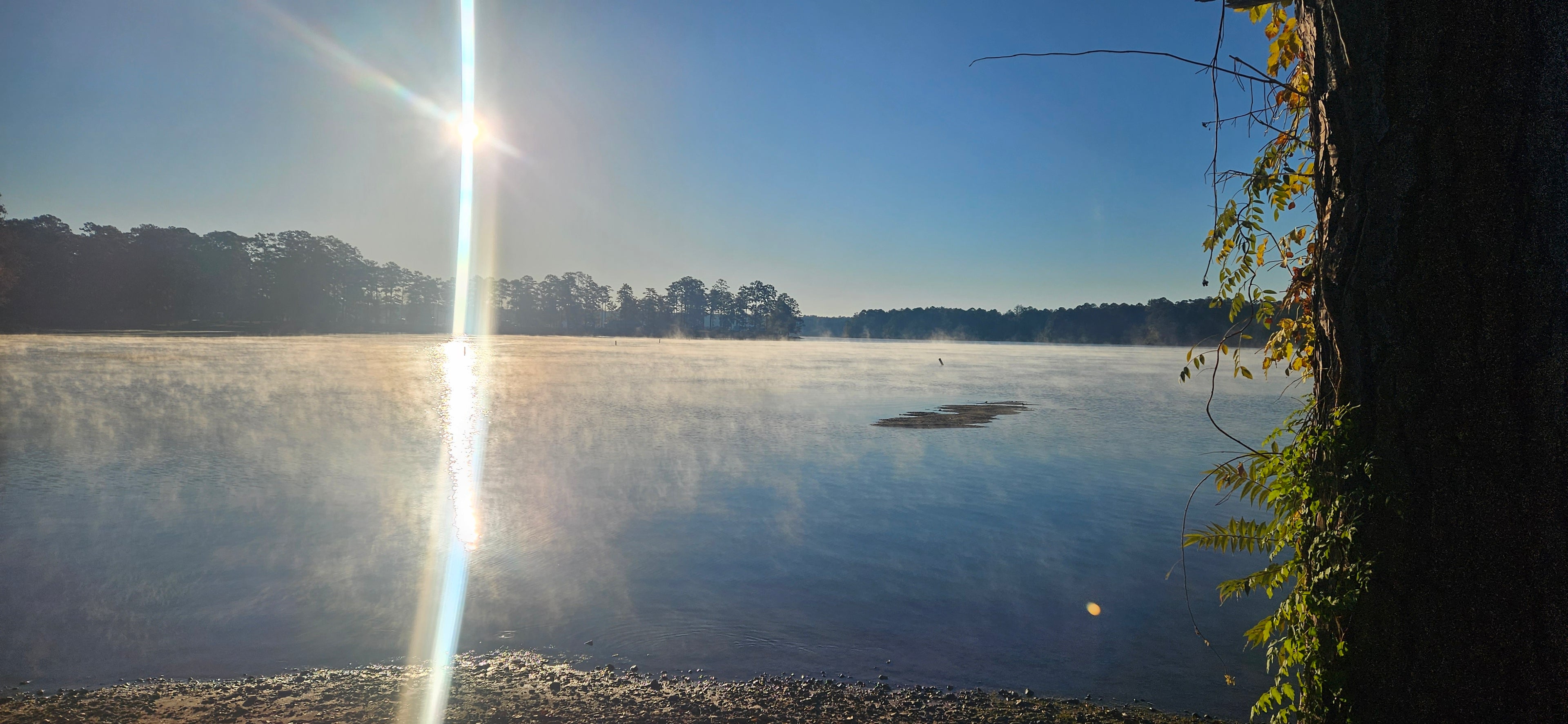 Sunrise over a calm lake with trees and a clear sky