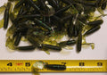Motor Oil Flash 2 inch Soft Plastic Curl Tail Grubs